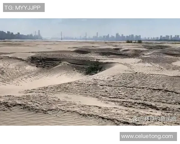 探索吉拉蒙年轻屏障的奥秘与其对生态环境的深远影响